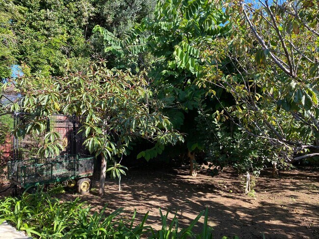 Building Photo - FLEXIBLE FULLY FURNISHED Point Loma Home! AC! All Utilities Included!