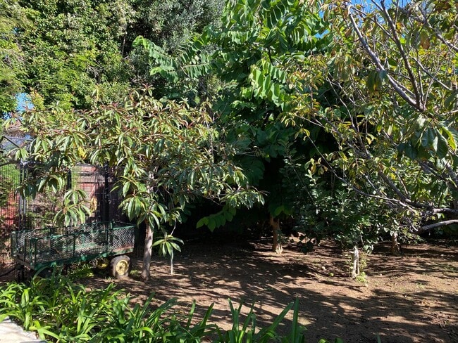 Building Photo - FULLY FURNISHED Point Loma Home! AC! All U...