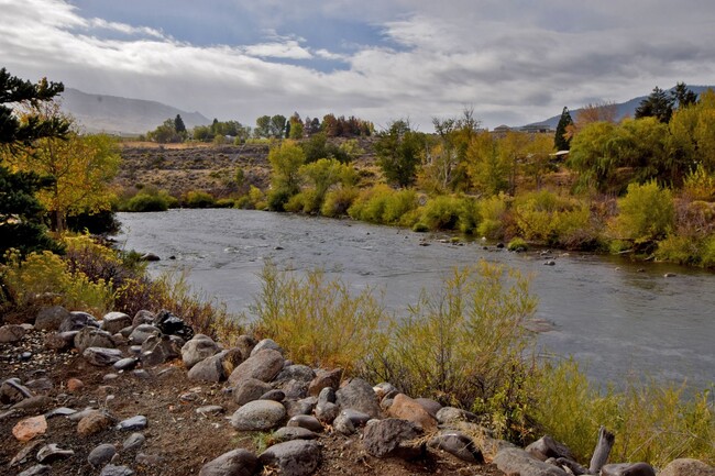 Building Photo - Live On the Edge of Truckee River!