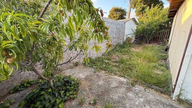 Building Photo - EPIC REA: Charming 2 Bed/ 1 Bath Home in O...