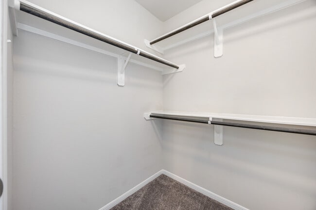 Building Photo - 6526 Macroom Meadows Ln