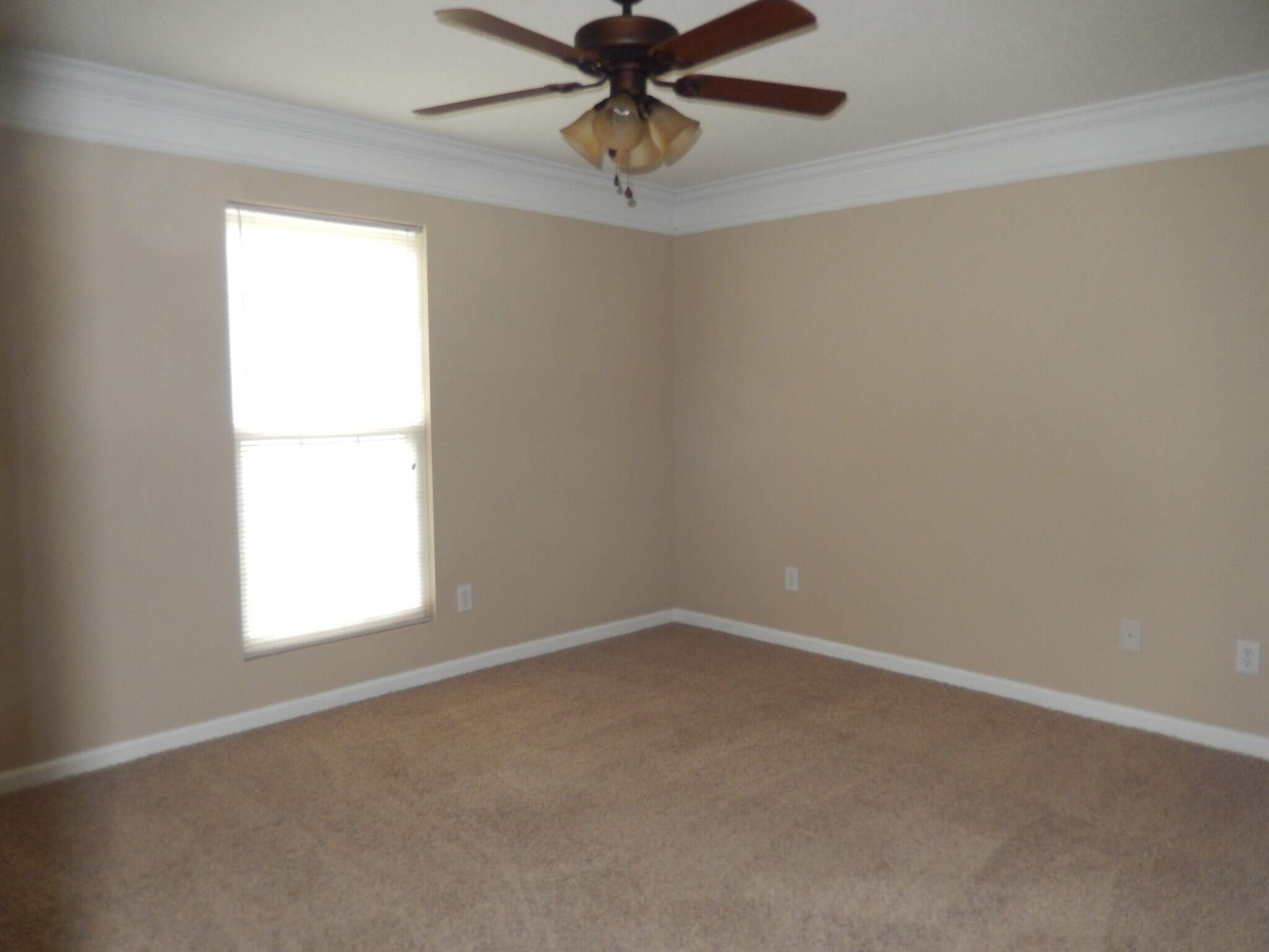 Large Bedroom - 2065 Pinemount Blvd