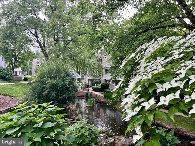 Building Photo - 5705 Chapman Mill Dr