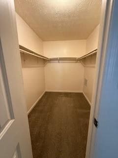 Building Photo - 4429 Coopers Creek Dr SE