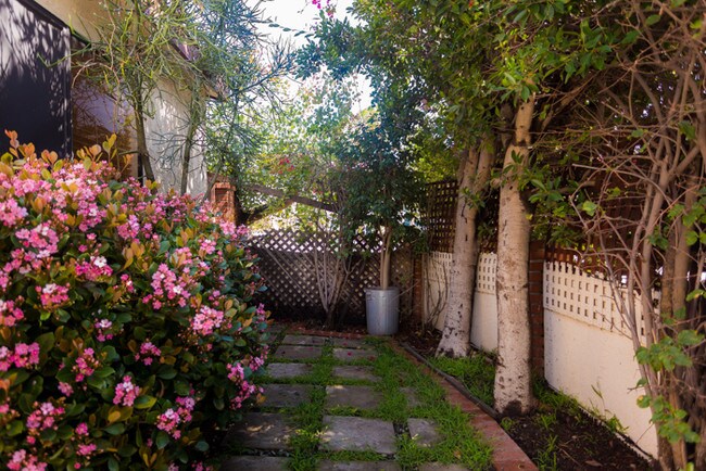 Building Photo - 539 Venice Way