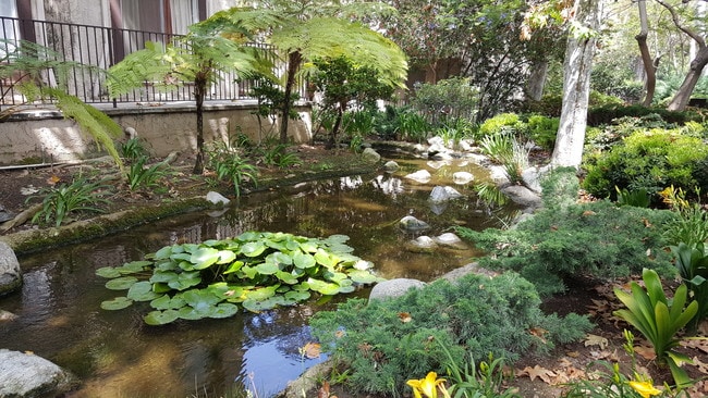 Building Photo - 12111 Summertime Ln