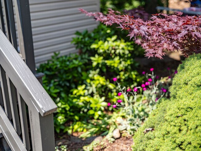 Building Photo - Asheville Rental-Kenilworth Area!