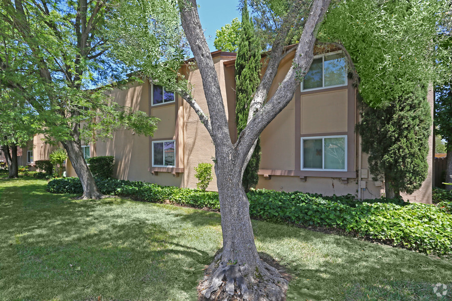 Walnut Wood - Walnut Wood Apartments