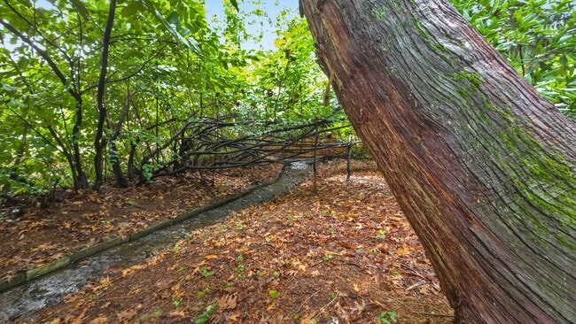 Building Photo - Beautifully Remodeled Bellevue Home in Prime Location