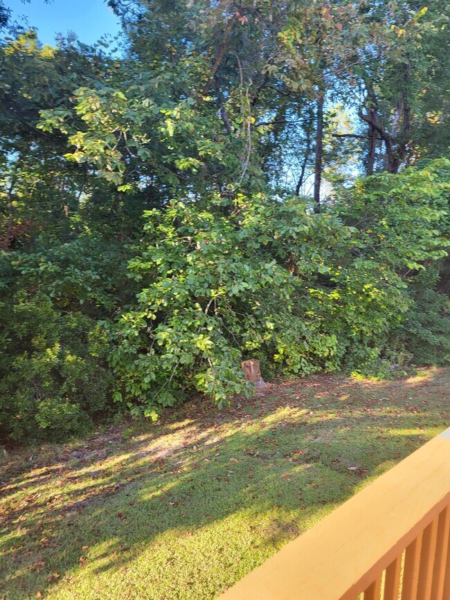 Building Photo - 220 Newport Drive