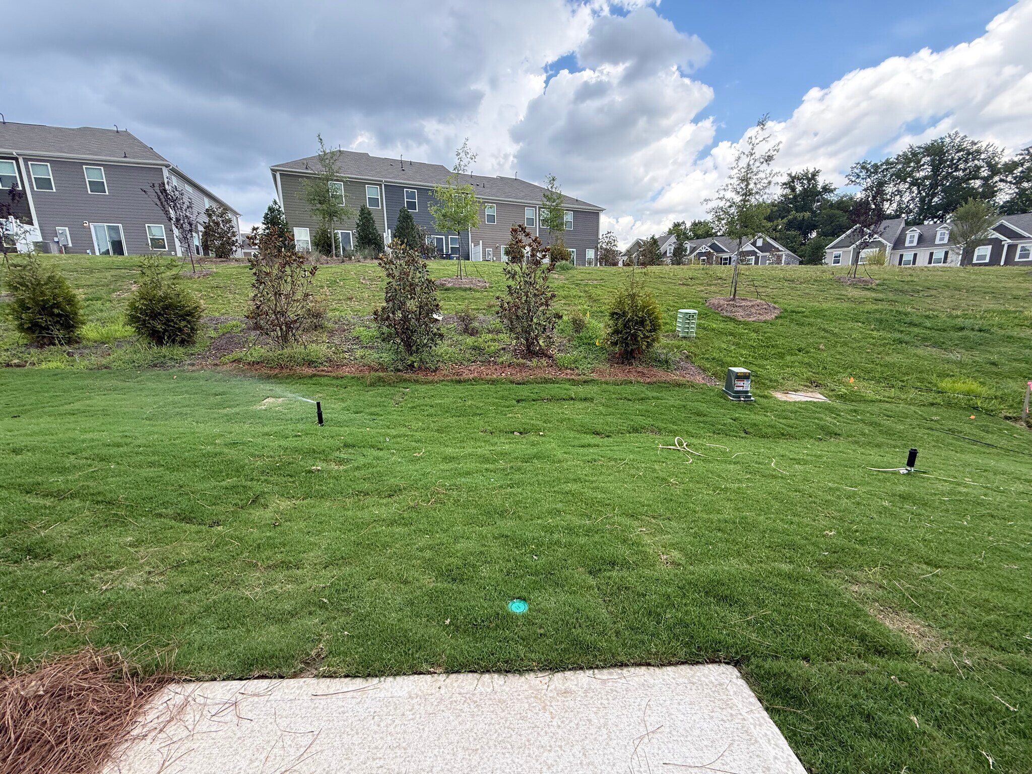 Building Photo - 3204 Lilac Grove Dr