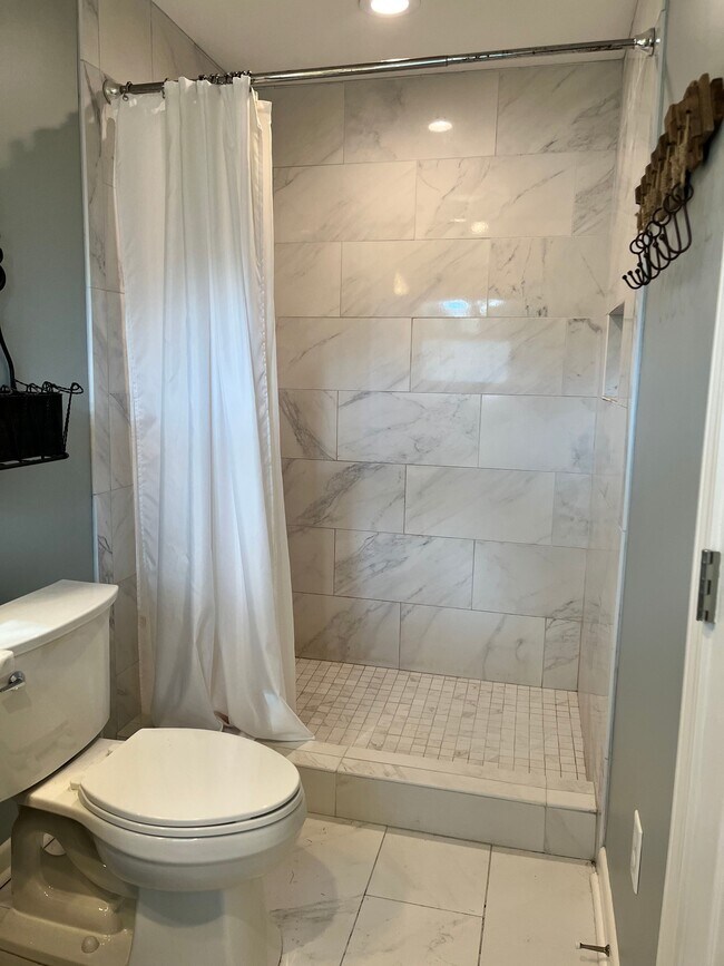 Primary Bath - 212 Mount Salus Rd