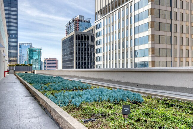 Building Photo - 612 Flower St