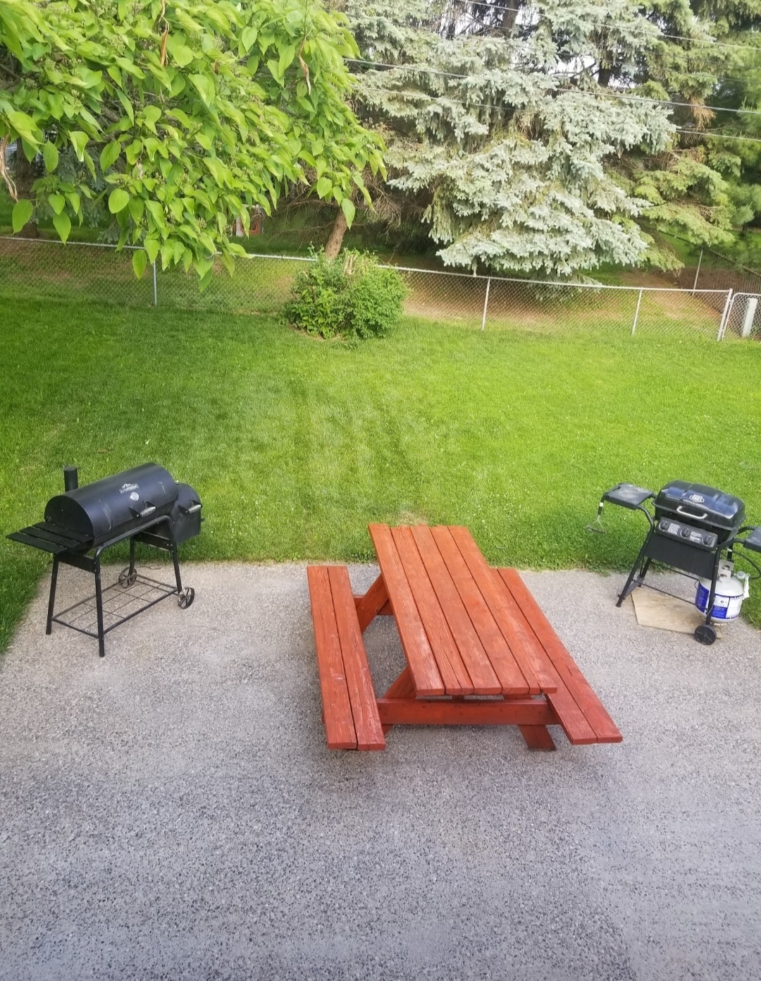 Back yard - 427 20th Ave S