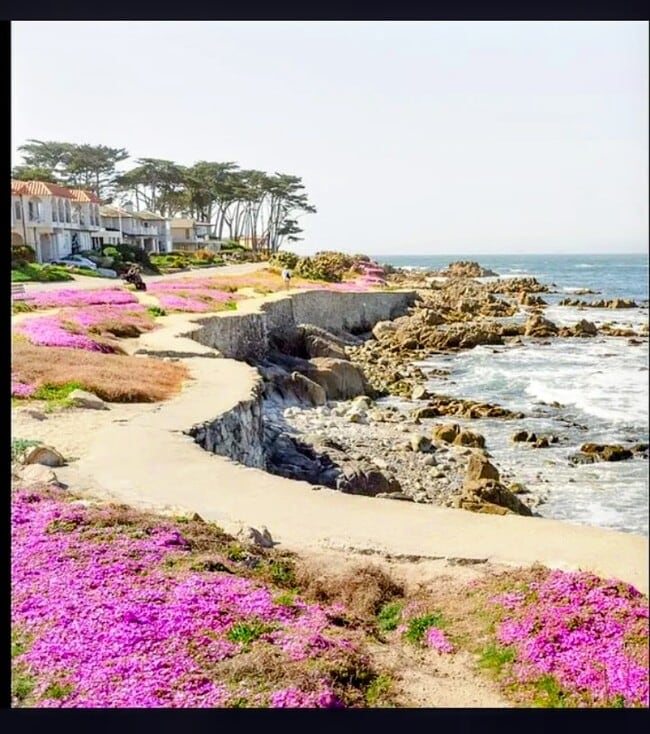 Building Photo - 699 Lottie St