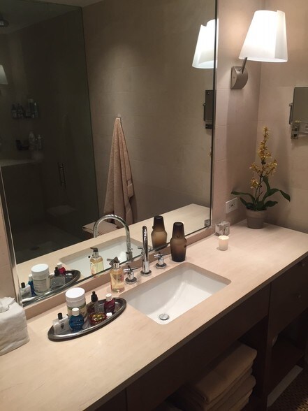 Master Bathroom - 1419 N State Pkwy
