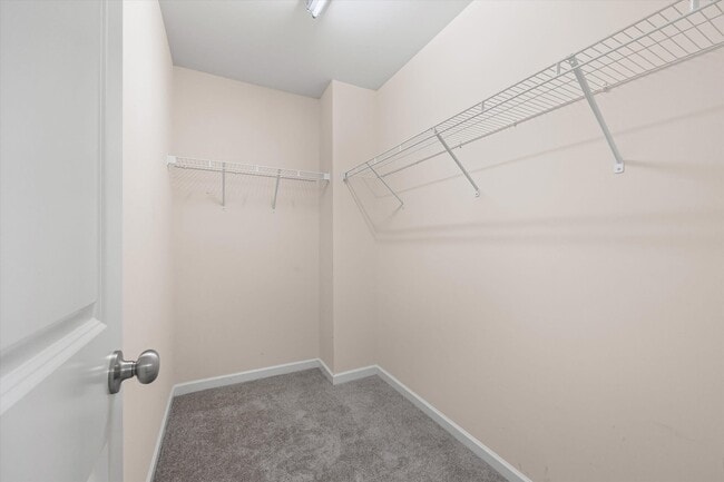 Building Photo - 311 Sandy Spring Ln