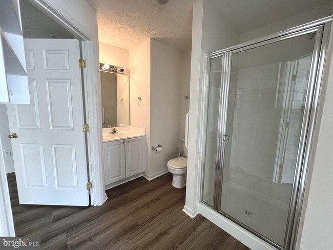 Building Photo - Gorgeous light filled 2 bedroom 2 bath con...