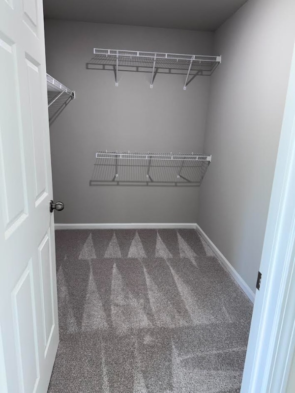 Building Photo - 303 Grand Oaks Dr