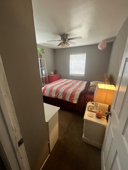 Primary Photo - 3926 Mehalia Dr