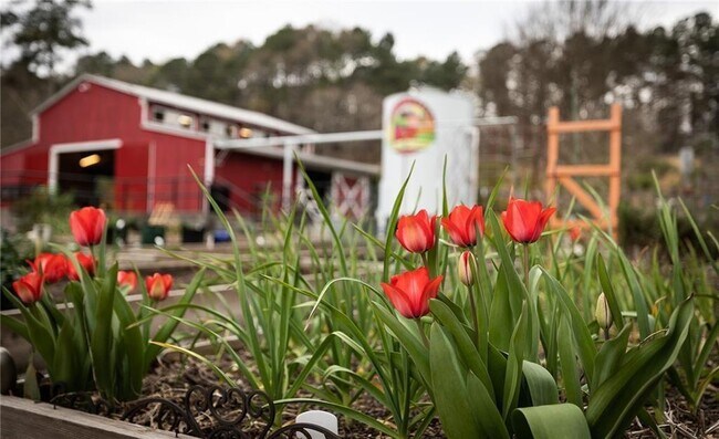 Building Photo - 3864 Light Farms Wy