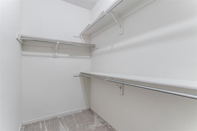 Building Photo - 809 Waverly Dr