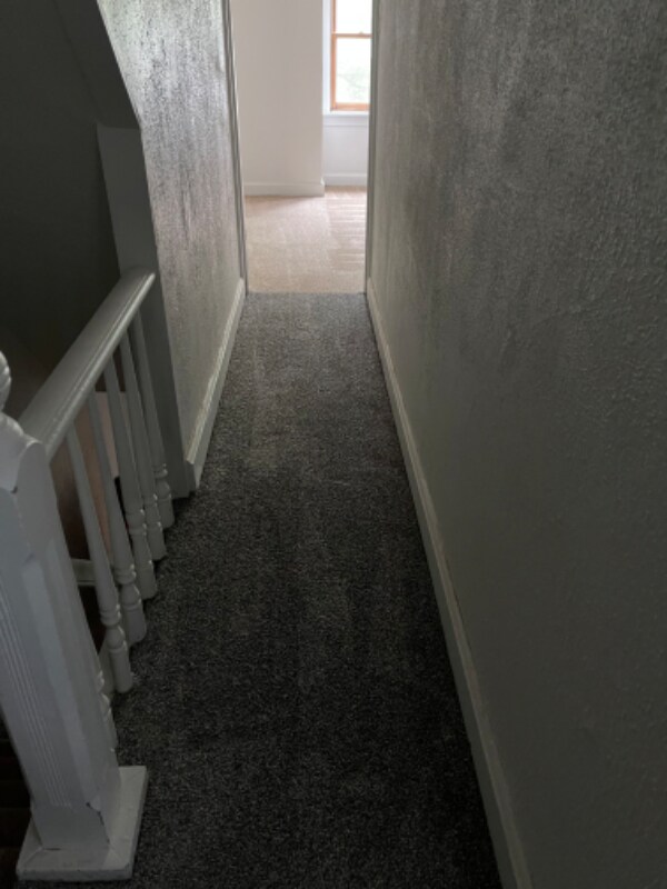 Building Photo - 1624 Park St