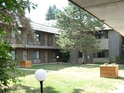 Primary Photo - The Laurel Apartments