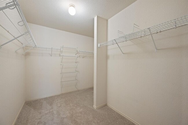 Building Photo - 3841 Castle Rock Cove