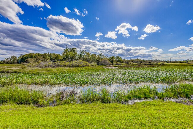 Building Photo - 602 Sabal Palm Ln