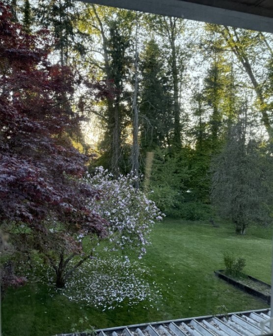 Building Photo - 8904 Monte Cristo Dr