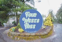 Building Photo - *Free Rent Special* Top Floor One Bedroom Near OHSU Ready Now!