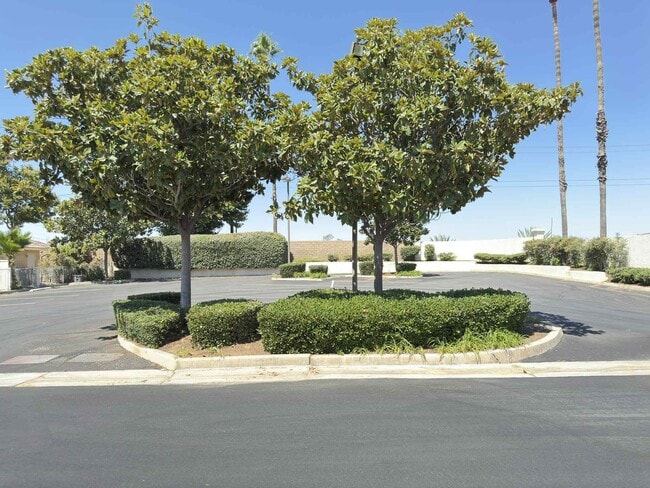 Building Photo - 2890 Summer Set Cir