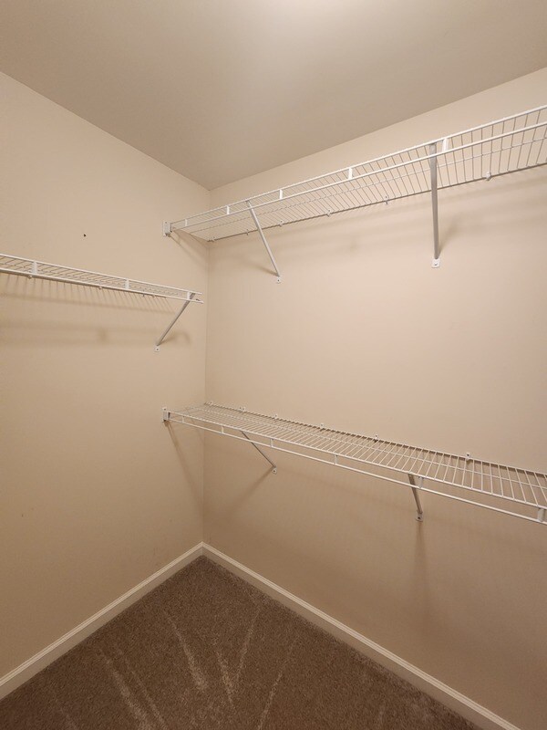 Building Photo - 807 Country Park Dr