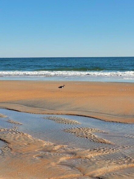 Building Photo - 1 N Ocean Palm Villas