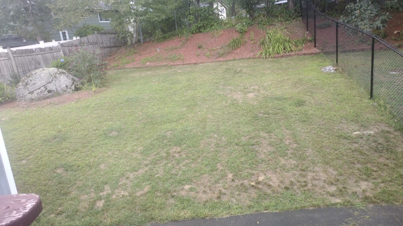 Building Photo - 6 Norwich Rd