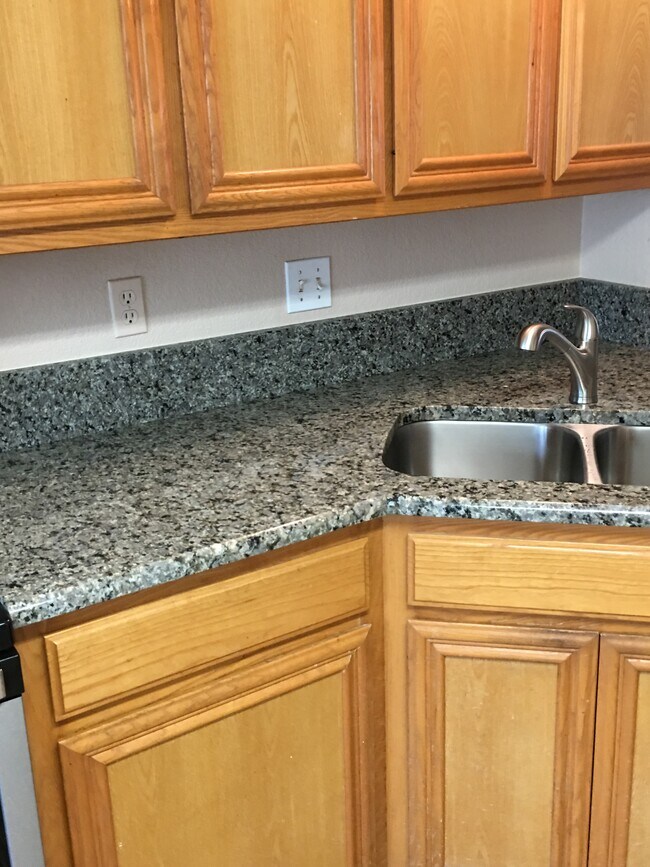 New sink. new faucet, new disposal - 5611 Northstar Ln