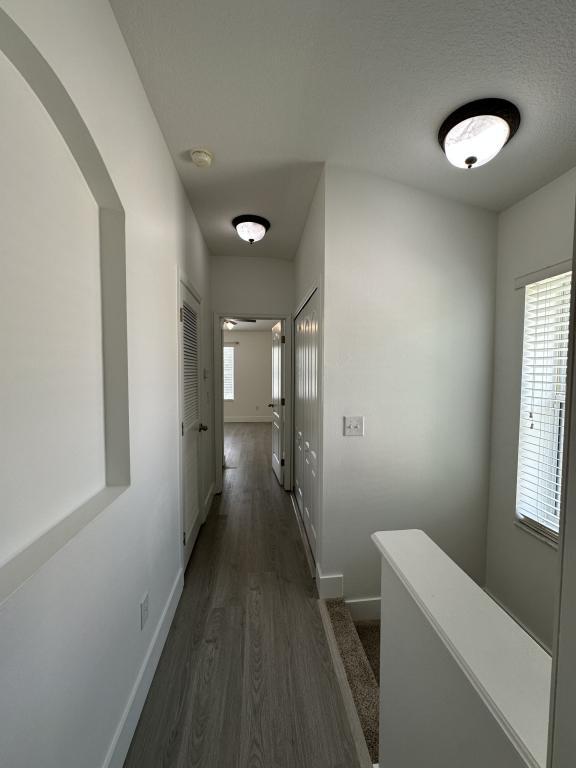 Building Photo - 15752 Fishhawk Falls Dr