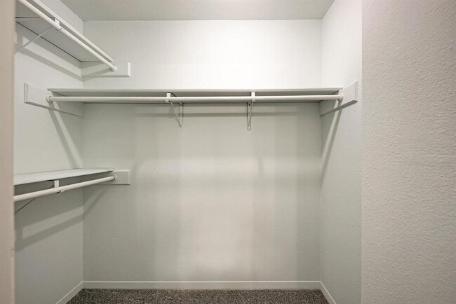 Building Photo - 1501 Terrapin Ct