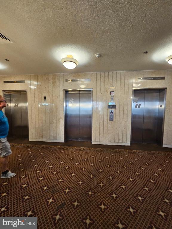 Building Photo - 3709 S George Mason Dr