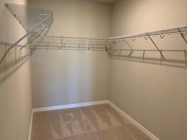 Building Photo - 3520 Monaco Ln