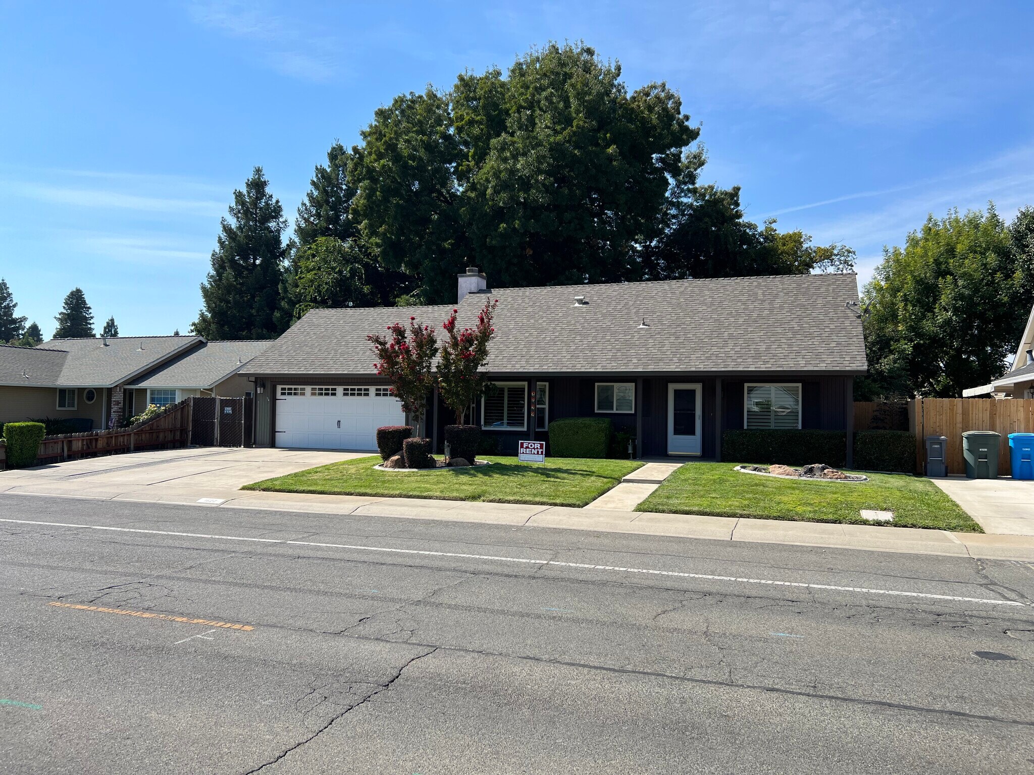 Building Photo - 1622 Royo Ranchero Dr