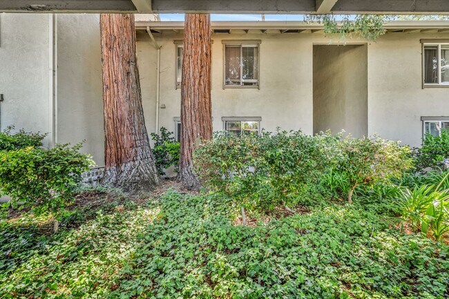 Building Photo - 2562 Walnut Blvd