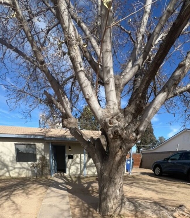 Primary Photo - Sweet 3 Bedroom one and a half bathrooms L...