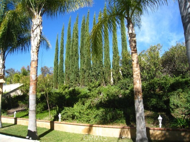Building Photo - 32094 Corte Soledad