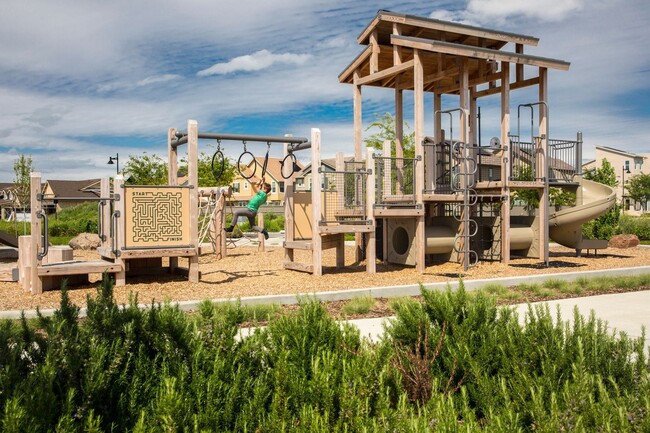 Building Photo - Gorgeous 4 Bedroom Model Home in the Cannery