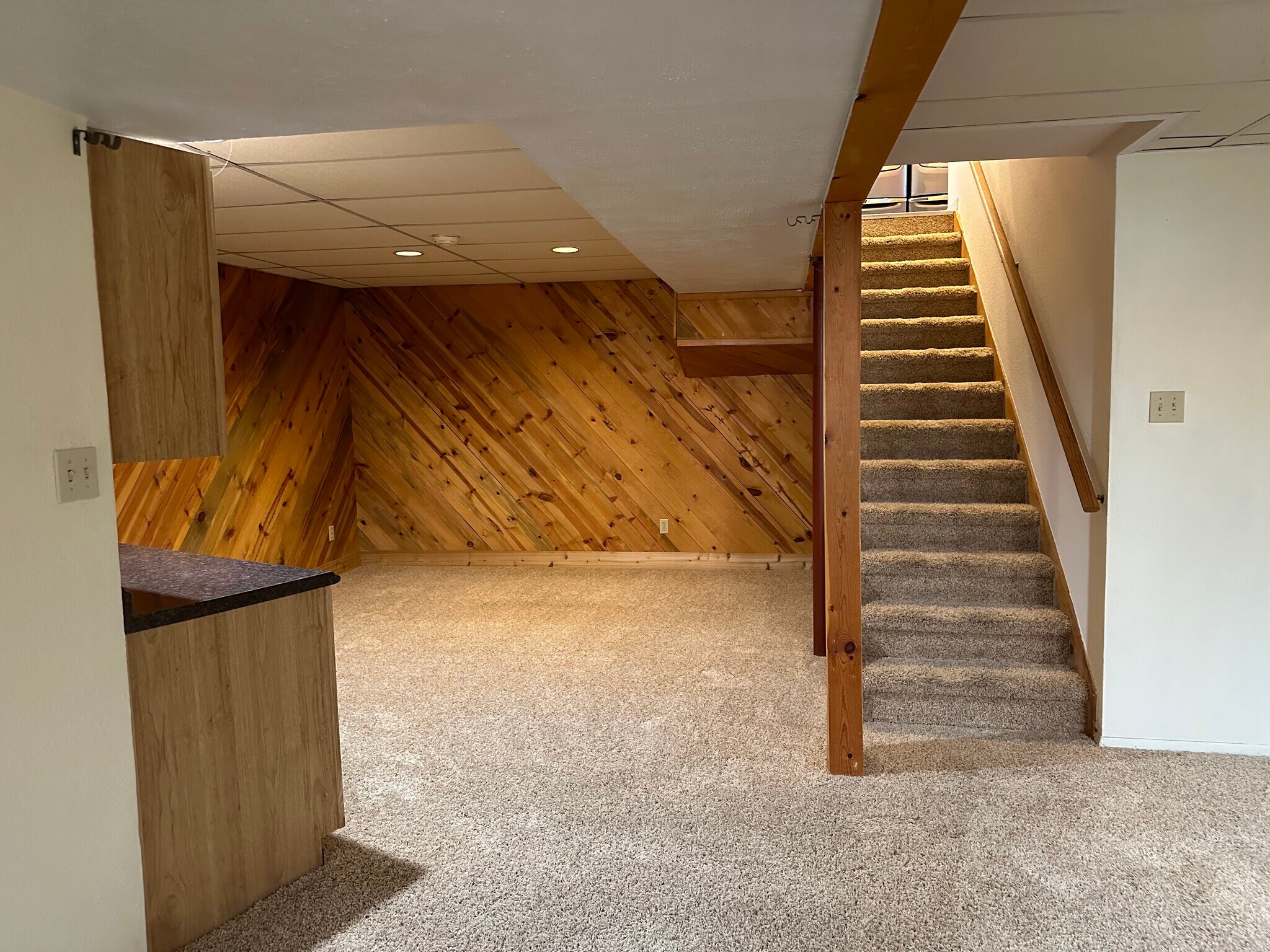 Basement Living - 756 S Bristol St