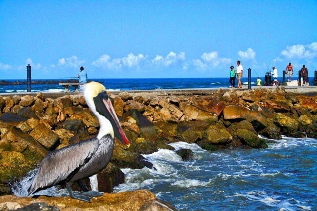 Building Photo - 5159 N Hwy A1A