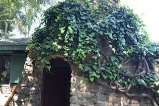 Magical Ivy Covered Entry - 713 Robinson Rd