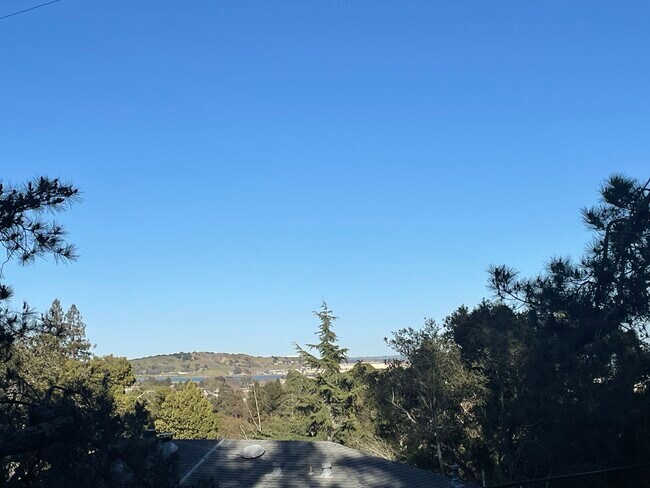 View from deck - 239 Corte Madera Ave